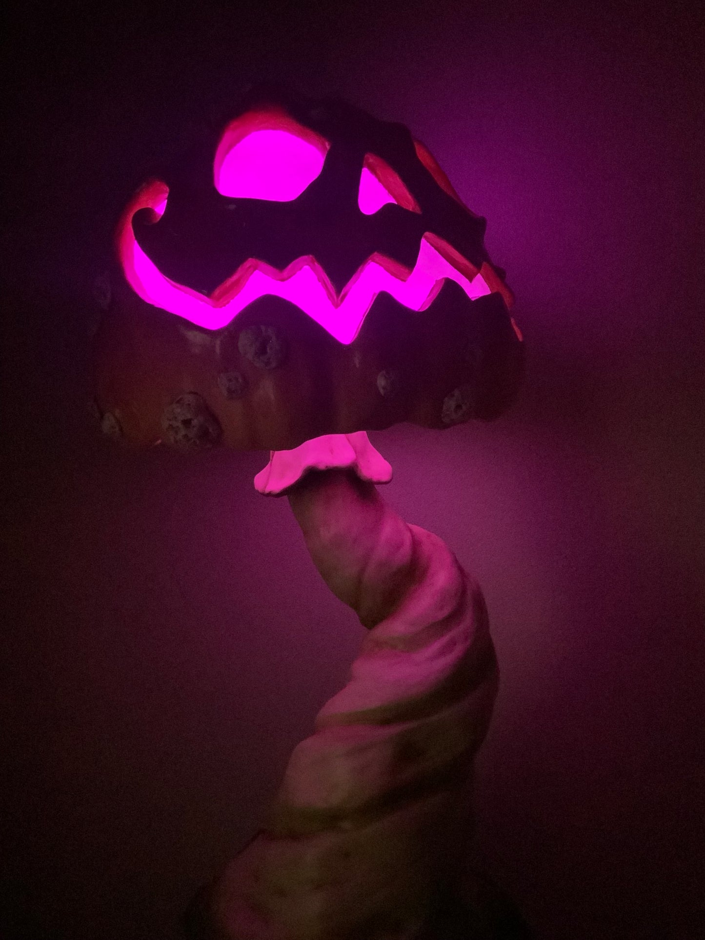 Jack-O-Mushroom