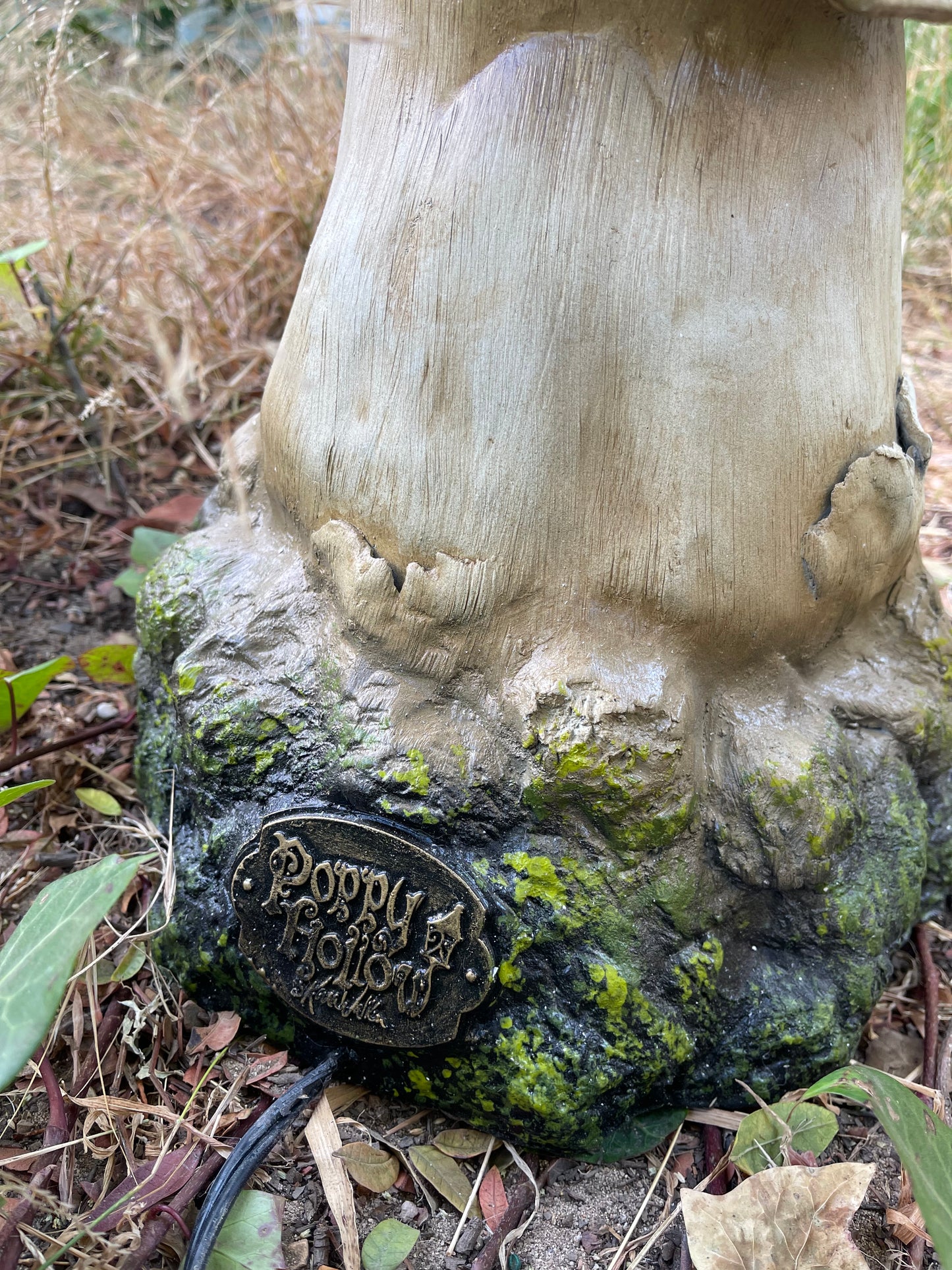 Ink Cap Mushroom Tall