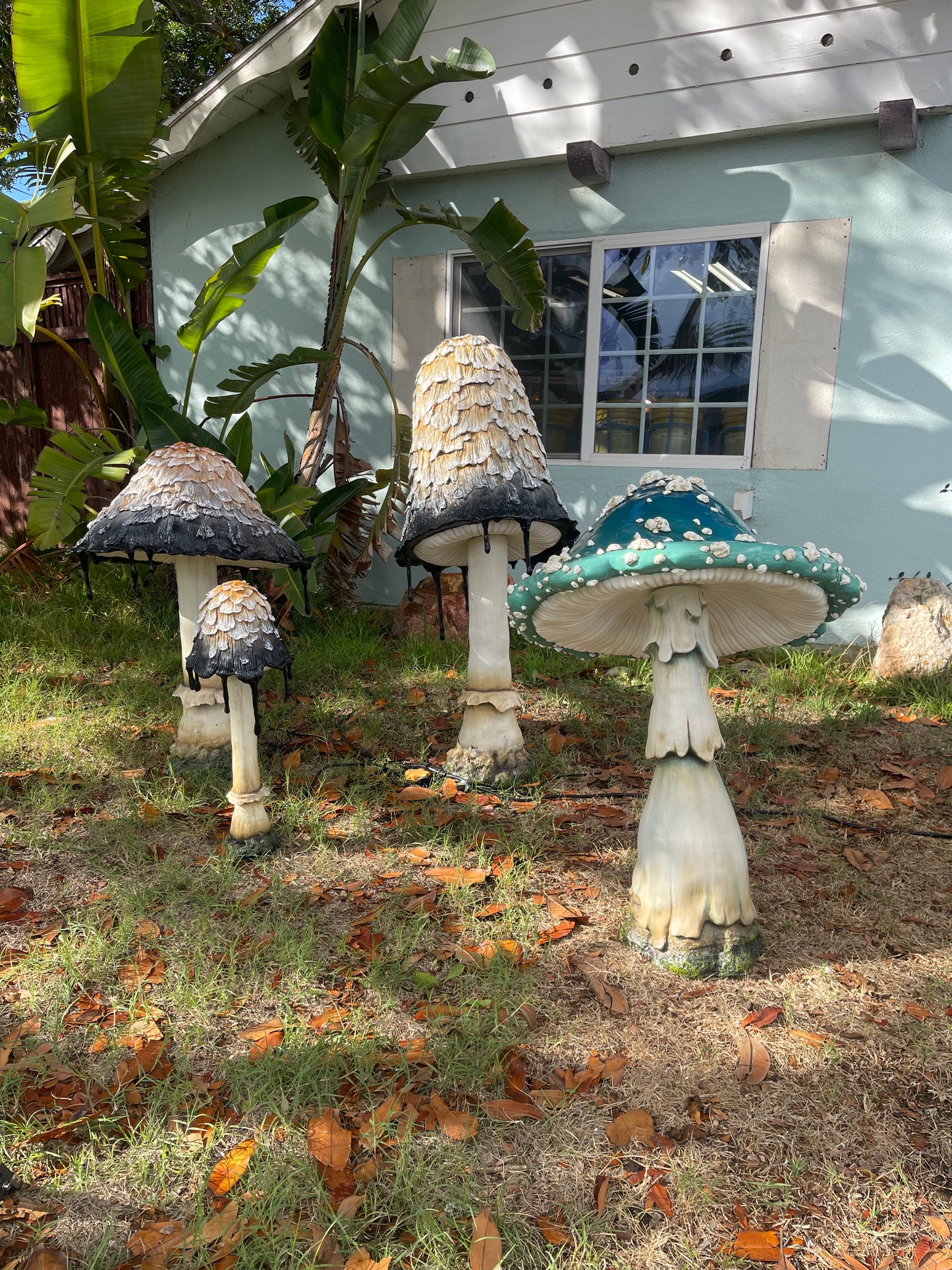 Ink Cap Mushroom Medium
