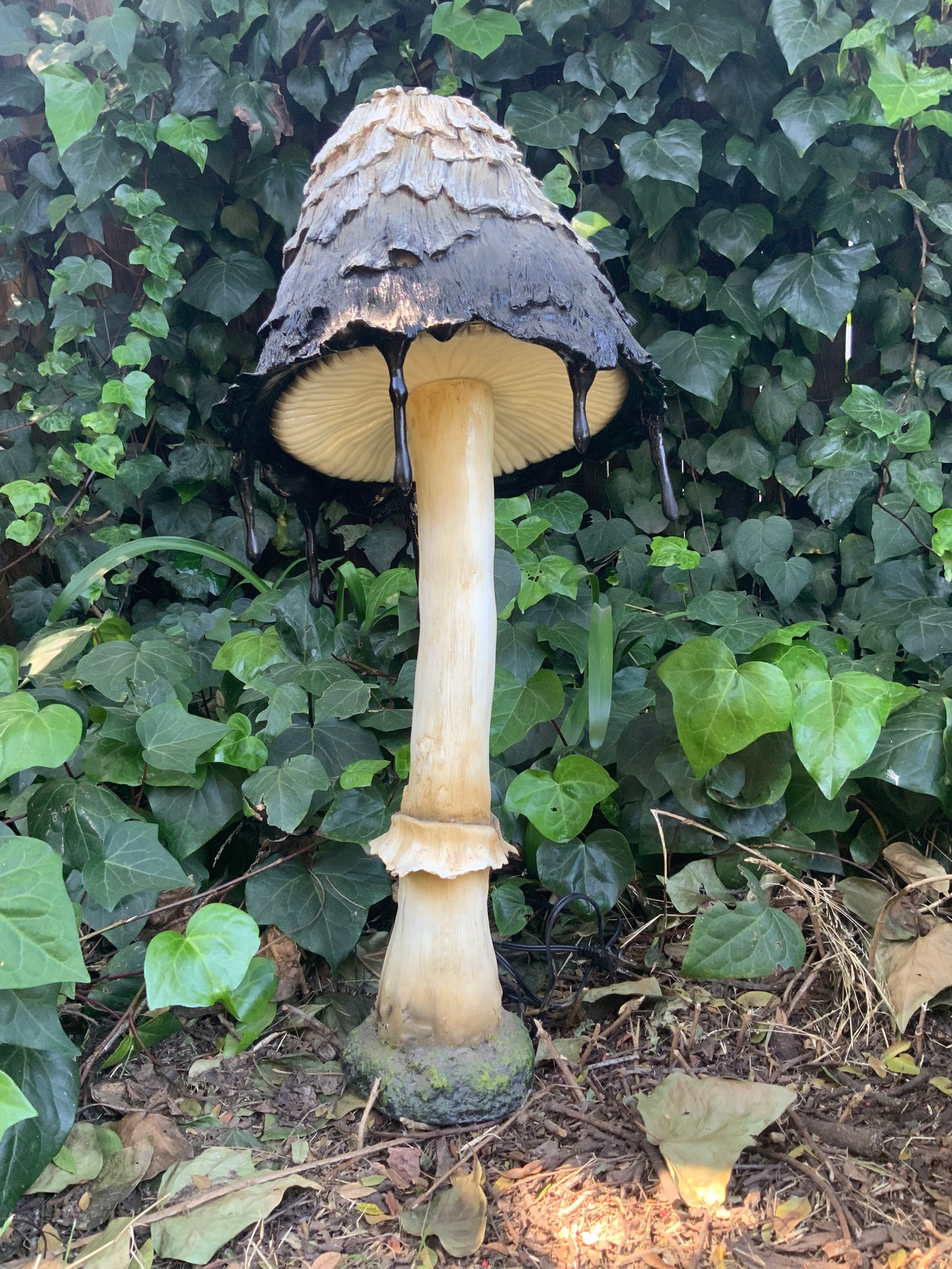 Ink Cap Mushroom Petite