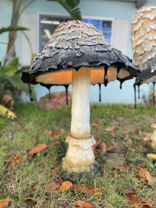 Ink Cap Mushroom Medium