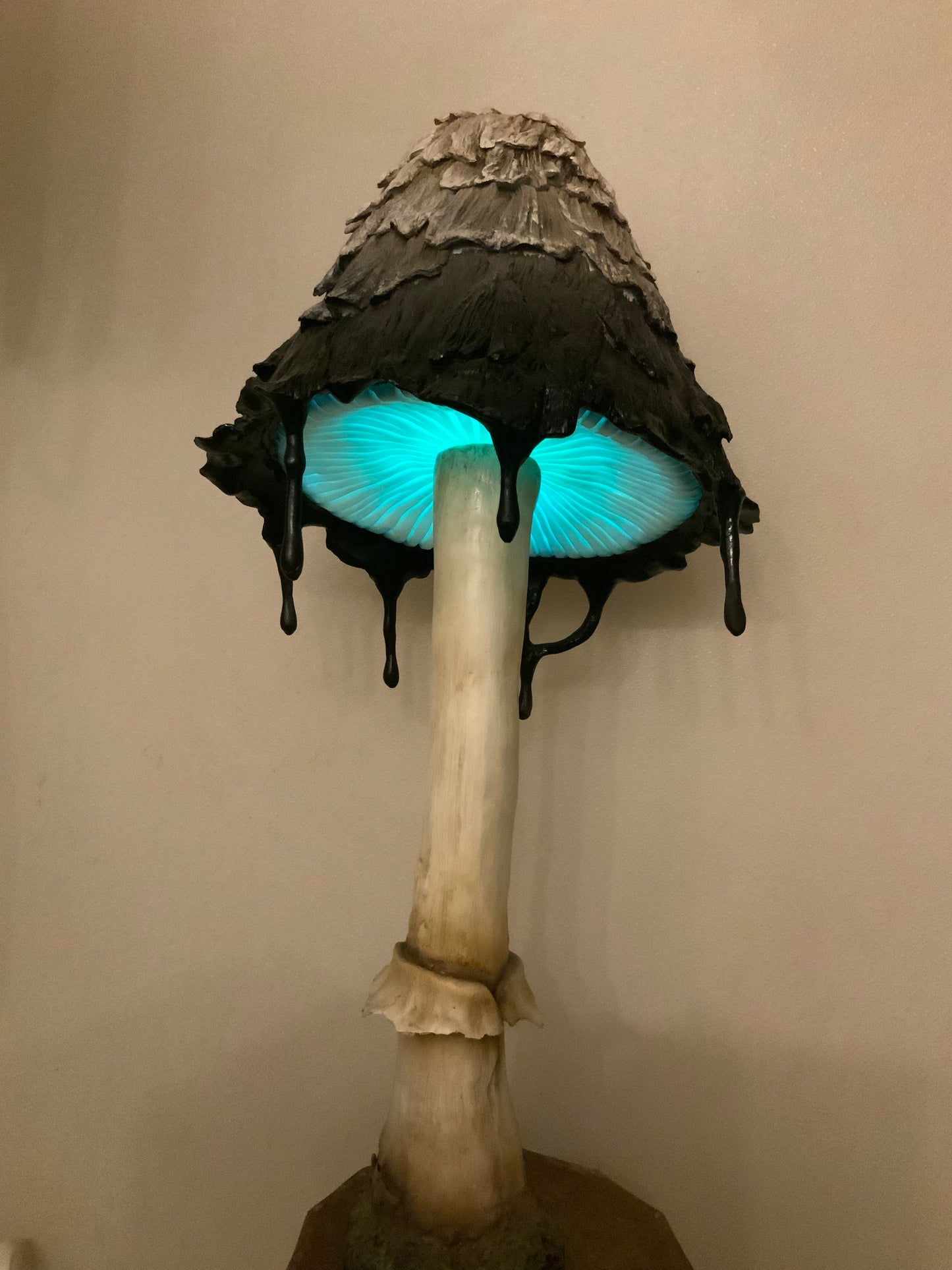 Ink Cap Mushroom Petite