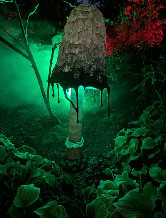 Ink Cap Mushroom Tall