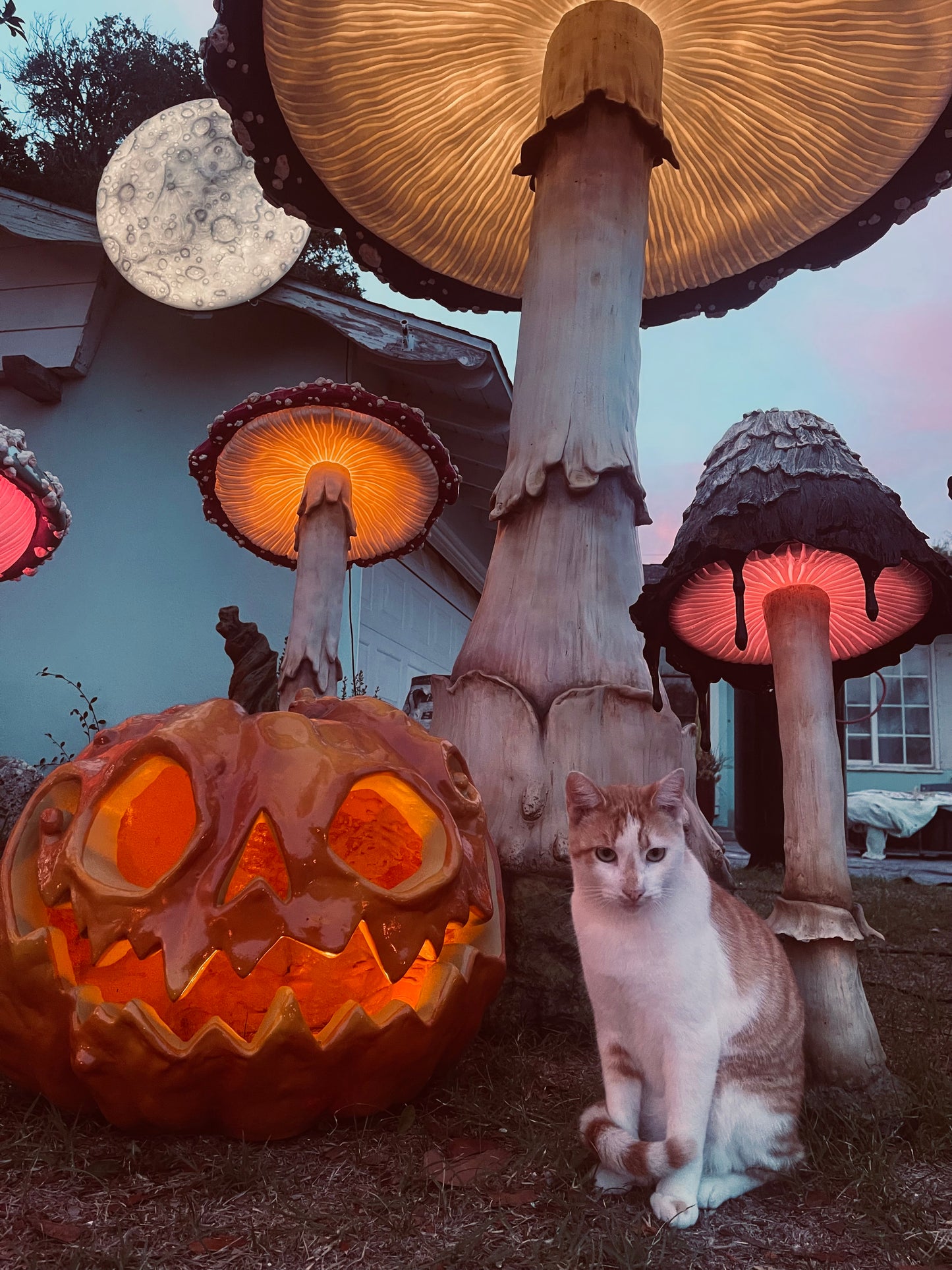 Poppy Jack O Lantern