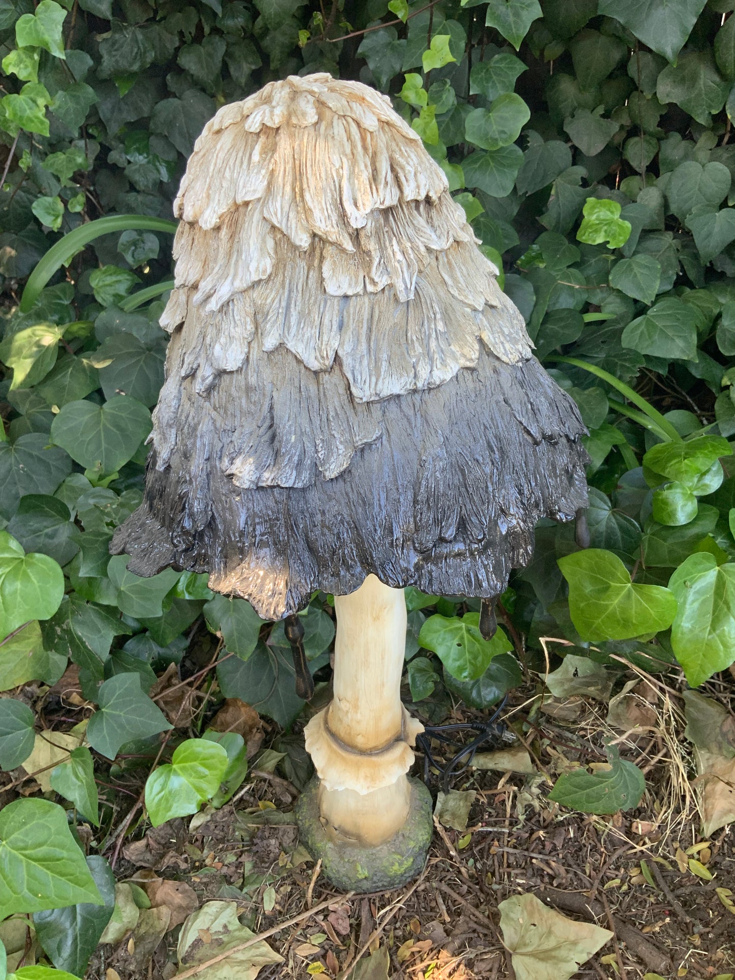 Ink Cap Mushroom Petite