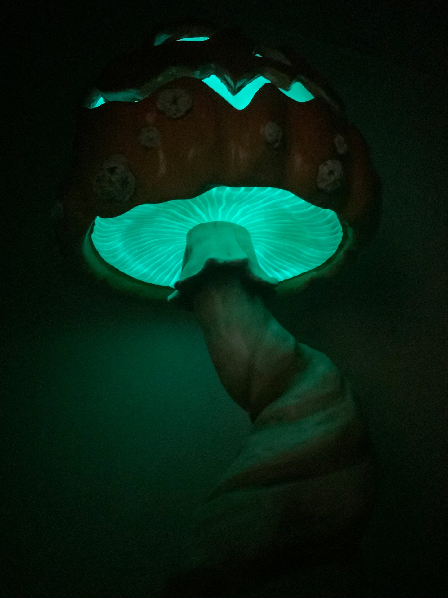 Jack-O-Mushroom