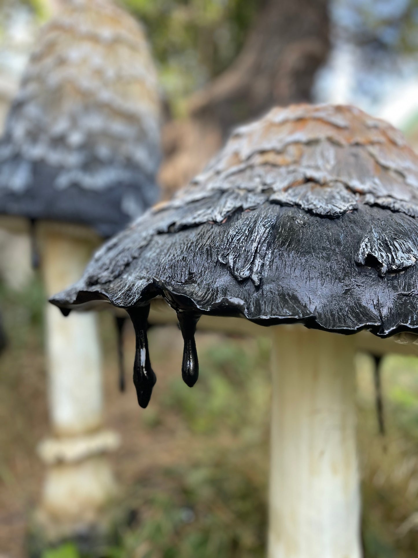 Ink Cap Mushroom Medium