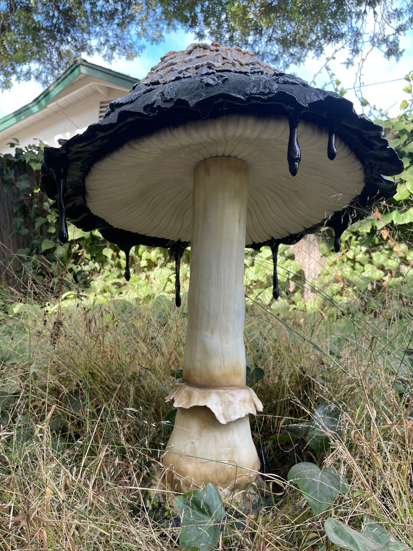 Ink Cap Mushroom Medium
