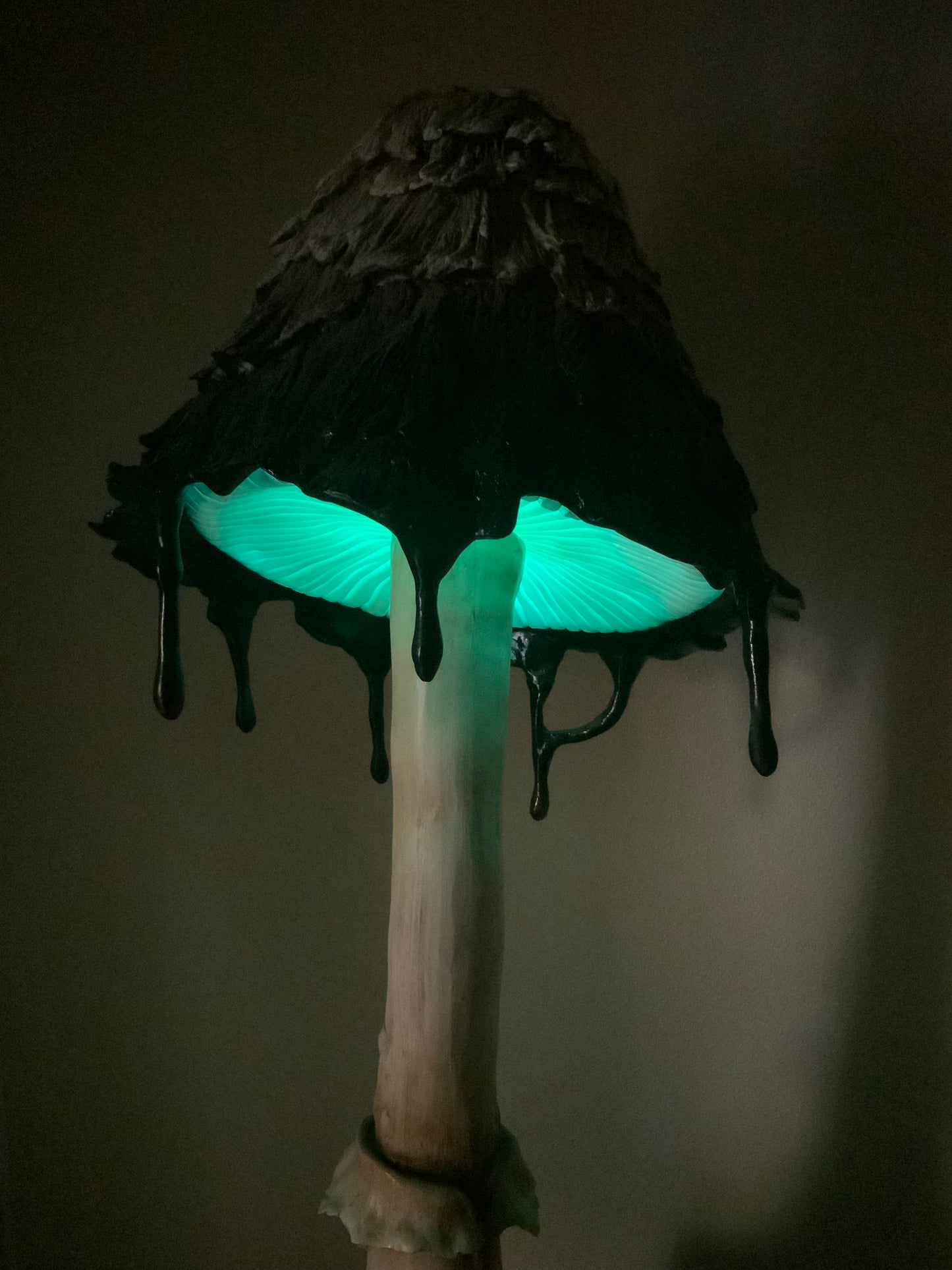 Ink Cap Mushroom Petite