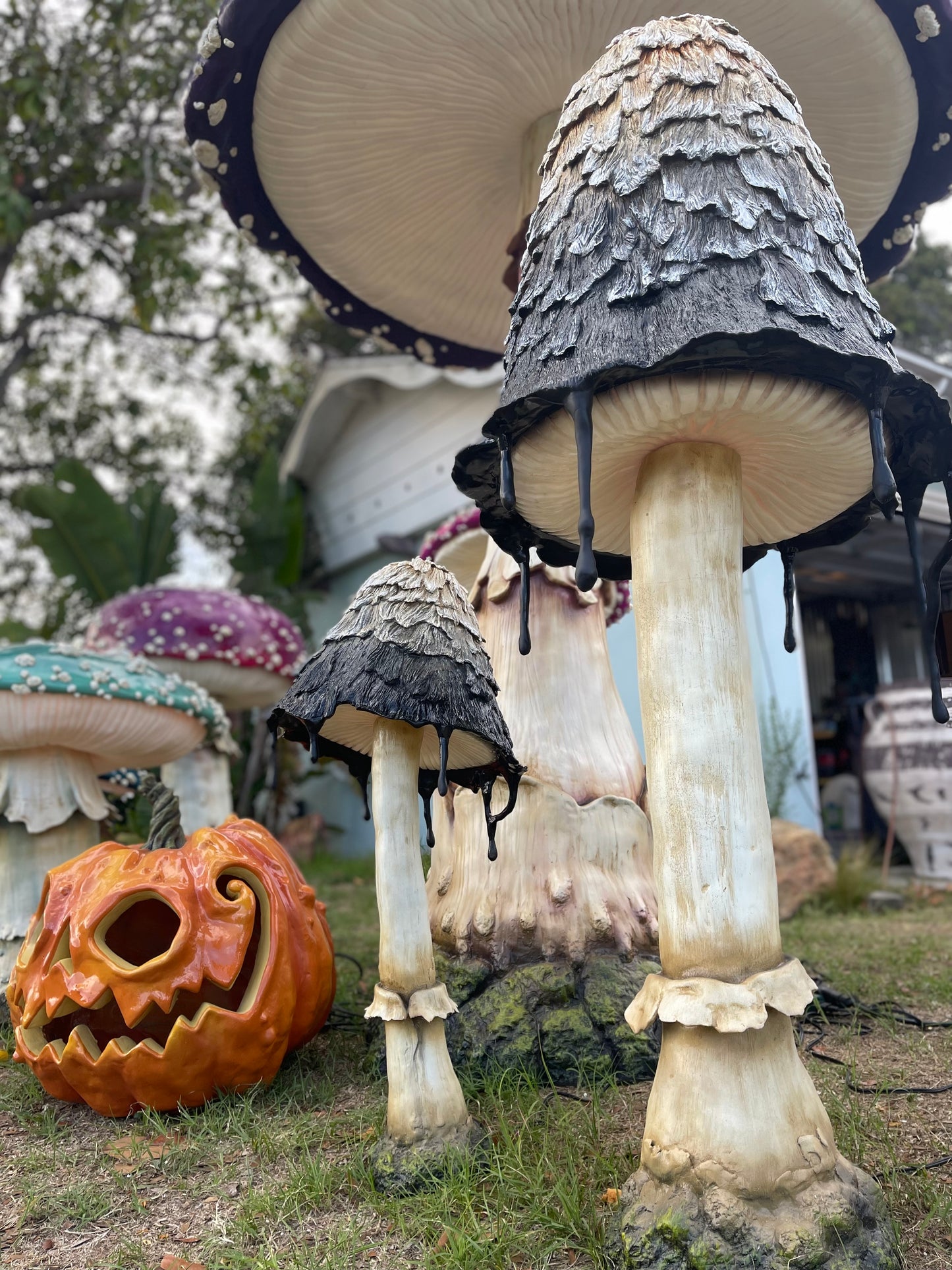 Ink Cap Mushroom Tall