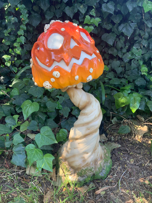 Jack-O-Mushroom
