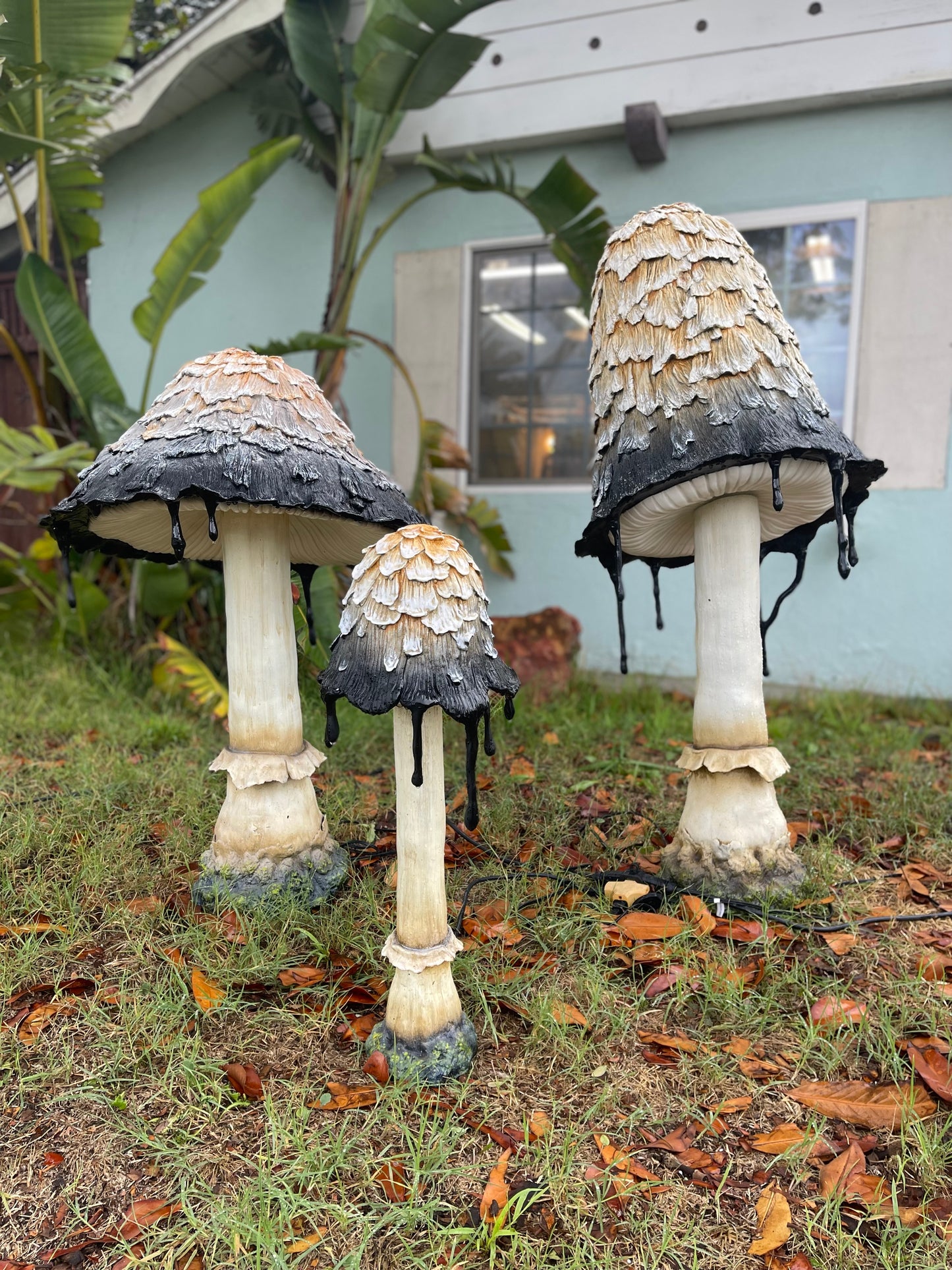 Ink Cap Mushroom Medium