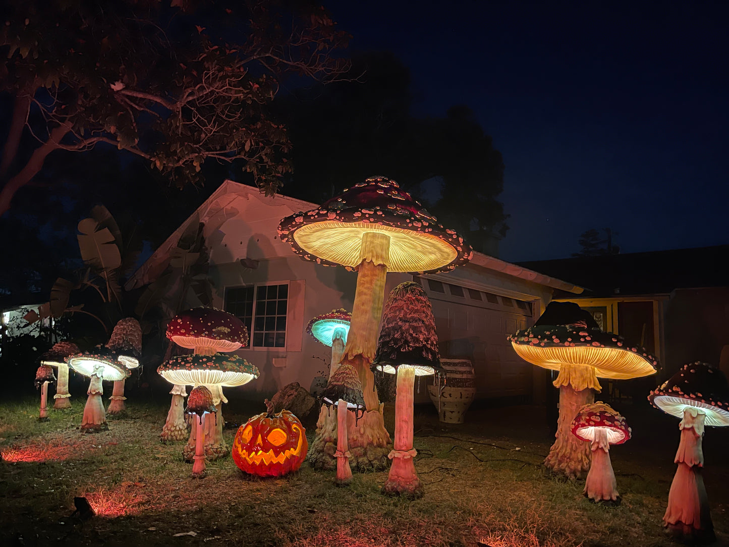 Mini Glowing Tabletop Mushroom Round Cap