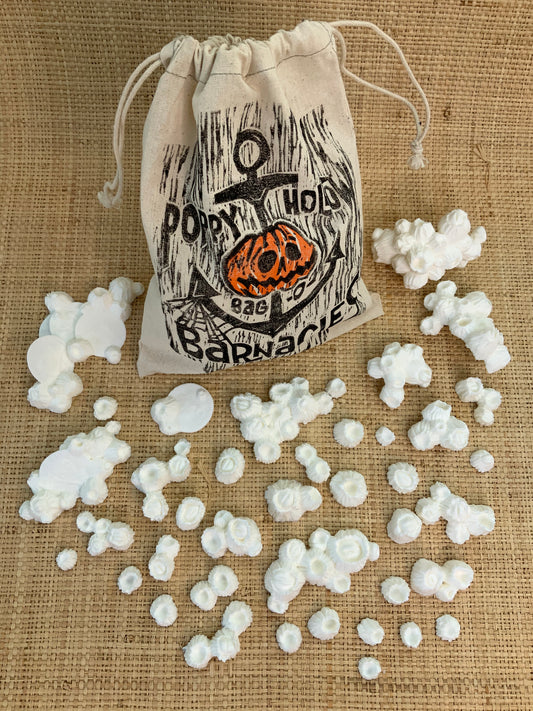 Bag-O-Barnacles
